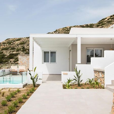 Theros Luxury Villas Damatria Exterior foto